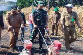 Video Dandim 1001: Dampingi petani sukseskan program pemerintah