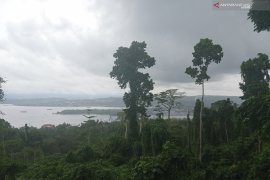 Peringatan dini gelombang tinggi laut Pasifik