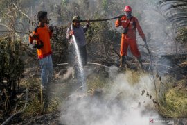 Manggala Agni continues fire-fighting efforts in Kampar peatland, Riau