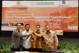 Asosiasi minta pemerintah permudah syarat peremajaan sawit rakyat