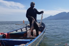 Berburu buaya dan Irrawaddy Dolphin di Santubong