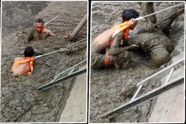 Seorang karyawan PT GSDI  tewas di kolam limbah sawit