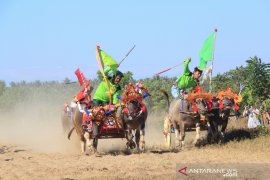 Makepung "Gubernur Bali Cup" kembali digelar setelah terhenti 10 tahun