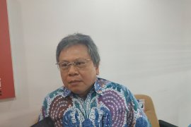 Ombudsman katakan Menko Perekonomian terlalu campuri urusan tiket pesawat