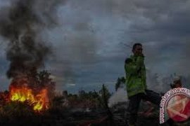Manggala Agni  Labuhanbatu petakan daerah rawan Karhutla