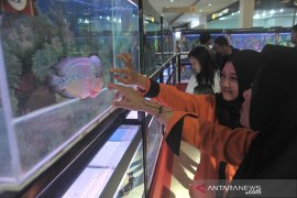 Kompetisi ikan Louhan nasional diikuti ratusan peserta Page 3 Small