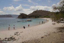 Pemprov berharap pengelola taman nasional komodo segera diputuskan