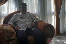 Kebutuhan daging sapi kurban di Bangka capai 88.000 ton