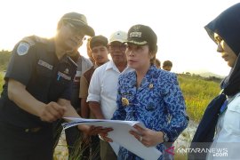 Land clearing runway Bandara SIngkawang sudah 25 persen
