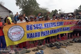 Petani Sampang dukung gubernur perjuangkan kenaikan harga garam
