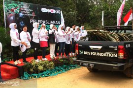 Bhayangkari dan OASE adopsi 3 bayi Orangutan