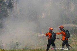 Perusahaan industri kehutanan ini dampingi 7.000 KK di Riau cegah Karhutla