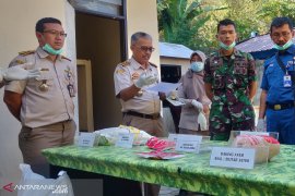 Dinilai berbahaya, Karantina Mataram musnahkan bibit kubis  AS