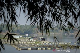 Larangan keramba jaring apung