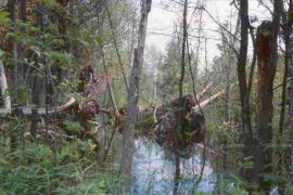 Kembangkan teknologi tepat guna lahan rawa dukung swasembada pangan