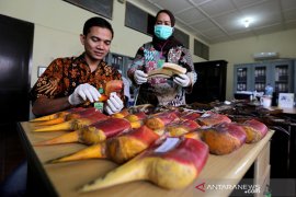 Rampasan negara cula rangkong gading