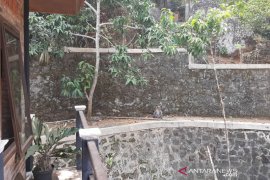 Pengelola Gunung Api Purba Nglanggeran mencegah monyet serang wisatawan