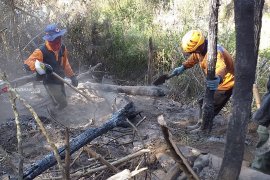 Pemadam gabungan sisir bara api di Gunung Panderman