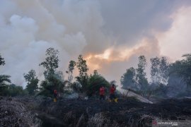 Satgas tingkatkan patroli cegah titik api di Taman Nasional Tesso Nilo