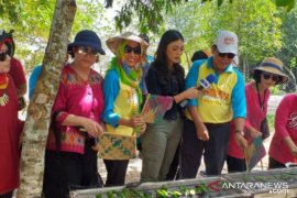 DPPP Bangka Selatan gelar festival bakar 20.000 otak-otak