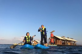 Wisata bahari Banyuwangi suguhkan olahraga air "stand up paddleboard"