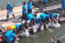 Cegah ikan endemik punah, FAO dan KKP ajak warga Kampar jaga habitat ikan