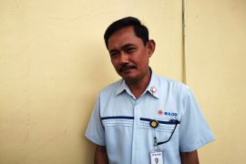 Bulog Mamuju jamin stok pangan aman jelang Idul Adha
