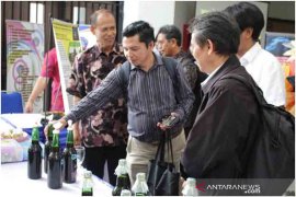 Undiksha teliti anggur lokal jadi "wine" bebas alkohol