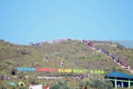 BKSDA Bengkulu gandeng petani hijaukan TWA Bukit Kaba