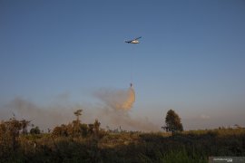 West Kalimantan police arrest 52 forest fire suspects