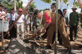 Pemprov selamatkan pohon langka melalui Miniatur Hutan Tropis