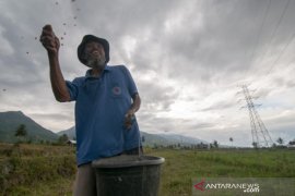 Tekan ongkos produksi jagung Page 1 Small