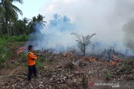 BPBD Kayong Utara sigap atasi kebakaran lahan