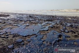 Walaupun terus dibersihkan, limbah minyak mentah di Karawang semakin bertambah