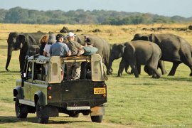 Pemerintah Sri Lanka berikan fasilitas bebas visa bagi wisatawan Indonesia
