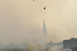 Udara Pekanbaru masih diselimuti asap Karhutla