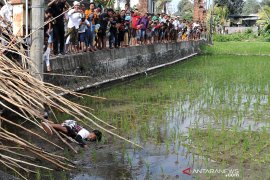 Hari Raya Kuningan, warga Munggu-Badung ikuti tradisi "Mekotek"