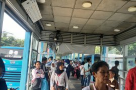 Imbas listrik padam, TransJakarta berlakukan tarif Rp0
