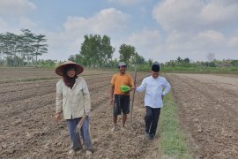 Bupati OKU Timur ajak masyarakat tanam palawija