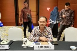 Kementerian Agraria setujui ajuan "Tora" Kabupaten Bangka 680.04 hektare
