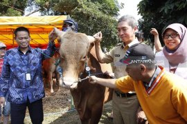 Kementan perkirakan kebutuhan kambing/domba untuk kurban 25 juta ekor