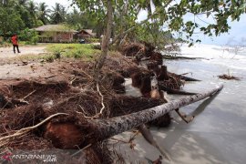 Ancaman abrasi di Matobe butuh tindakan cepat, 15 rumah bisa kena