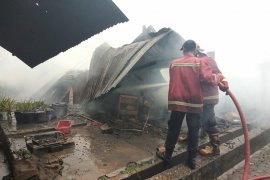 Suara ledakan terdengar saat gudang kardus bekas di Jambi terbakar