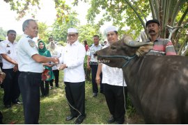 Pemprov Sumbang Hewan Qurban ke Lapas Tarakan dan Nunukan