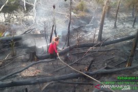 People affected by forest fires should avoid outdoor activities