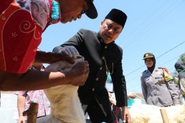 Wawali Probolinggo temukan hewan tidak layak kurban