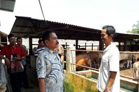 Pemotongan hewan kurban di Langkat diprediksi naik tiga persen