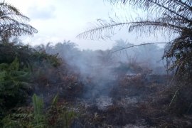 Pemadaman kebakaran lahan di Aceh terbantu hujan
