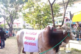 Masjid Agung Palembang akan bagikan 1.500 kupon qurban