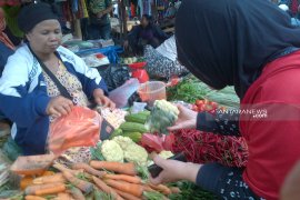 Sejumlah sayur terdeteksi pestisida di Ambon masih di bawah ambang batas